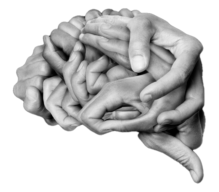 Illustration d’un cerveau
